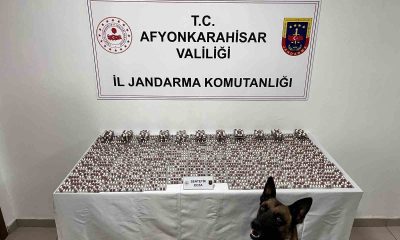 Jandarmadan uyuşturucu operasyonu
