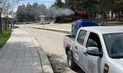 İlaçlama çalışmaları devam ediyor