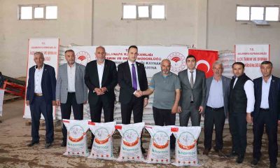 Aslanapa’da 269 üreticiye yüzde 50 hibeli 36 bin 250 kilogram nohut tohumu dağıtıldı