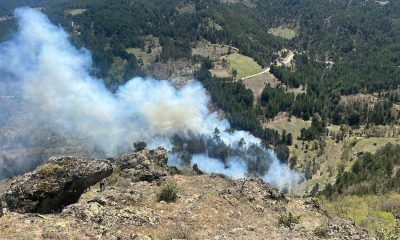 Gediz’de 2 hektarlık ormanlık alan kül oldu