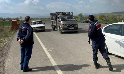 Emet’te hayvan hareketleri yol kontrolleri