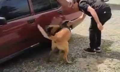 Eskişehir’den araç çalan şüpheliler Söğüt’te yakalandı