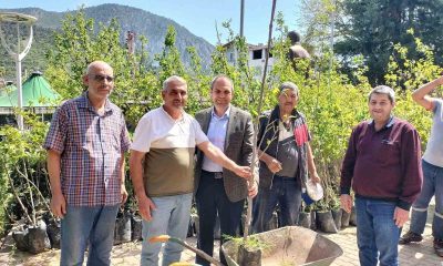 Trabzon hurma fidanı dağıtıldı
