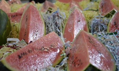 Hasretle yerli üretimi bekliyorlar