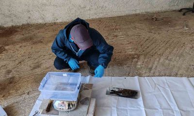 Bu proje ile istilacı balık türlerinin popülasyonu azaltılacak