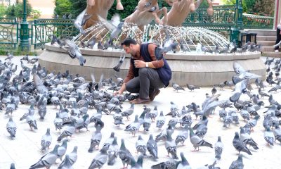 Nazilli’den gelen turistler Eskişehir’deki kuşları elleriyle besledi