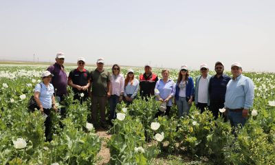 Eskişehir’de haşhaş çeşitleri için tarla günü düzenlendi