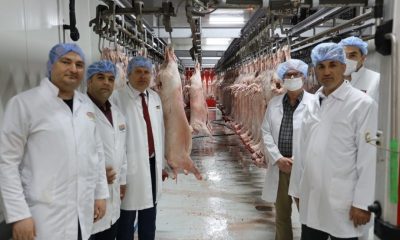 Kurban bayramı öncesi mezbahalar denetleniyor