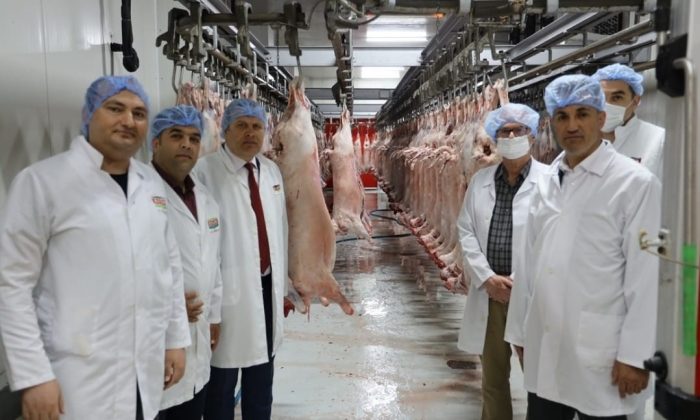Kurban bayramı öncesi mezbahalar denetleniyor