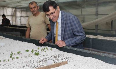Başkan Eyüp Kahveci Tıbbi ve Aromatik Bitki Merkezini inceledi