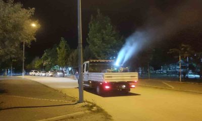 Uçkun ile mücadele başladı