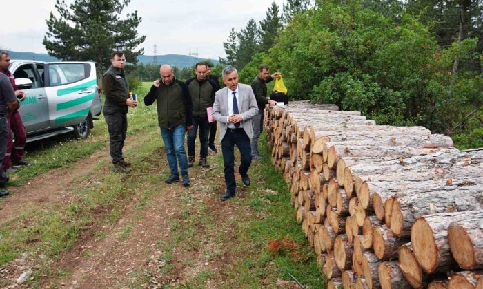 Bölge Müdürü Erdal Dingil, Tavşanlı ve Simav’da incelemelerde bulundu