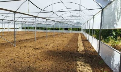 İl Tarım ve Orman Müdürlüğü Kırsal kalkınma destekleri sonuçlarını açıkladı