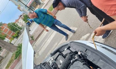 Otomobilin motor kısmına giden yavru kedi kurtarıldı