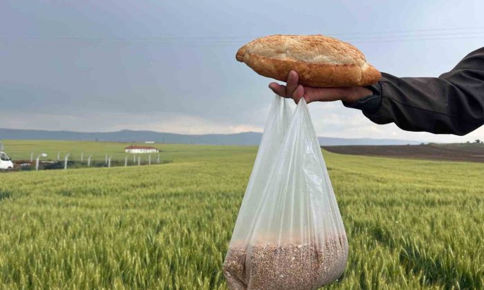 Çiftçinin 1 kilogram buğdayı 1 ekmek etmiyor