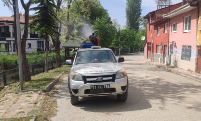 Yaza hazırlık niteliğinde çalışmalar devam ediyor