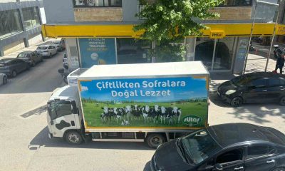 Duyarsız sürücü ’pes’ dedirtti