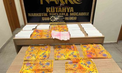 Kütahya’da çöp poşetinde 45 bin 71 kullanımlık kâğıda emdirilmiş bonzai ele geçirildi