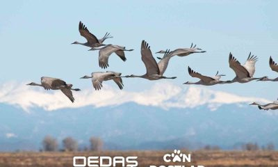 OEDAŞ ‘Can Dostlar’ projesinin kapsamını genişletti