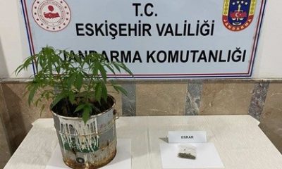 Jandarma ekiplerinin 9 farklı uyuşturucu operasyonunda 20 şüpheli yakalandı