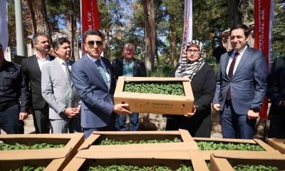 61 bin 780 adet ’Ata’ tohumu gerçekleşti