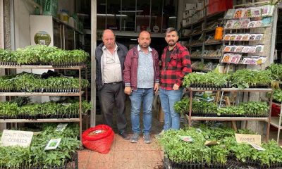 Eskişehir’de fide dikim zamanı