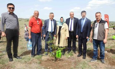 Kütahya’da Aile Haftasında Aile Ormanı tesis edildi