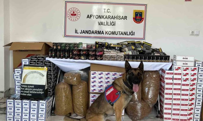 Jandarma 90 bin 800 adet çeşitli markalarda boş makaron ele geçirdi