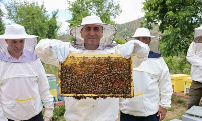Bilecik’te ‘varroa’ ile topyekûn mücadele