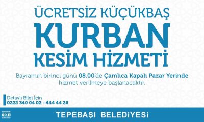 Tepebaşı’nda kesim alanı hazır