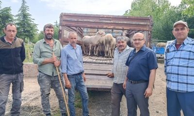 Afyonkarahisar’da canlı hayvan taşımacılığına yönelik denetim
