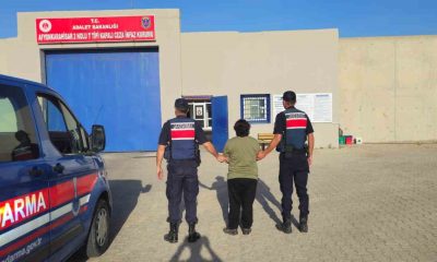 Kaçak şahsı jandarma yakaladı