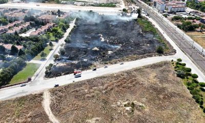 Yaklaşık 40 dönümlük köpek besleme alanı küle döndü