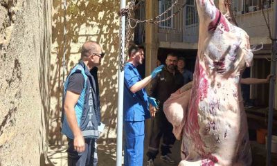 Kütahya İl Tarım ve Orman Müdürlüğünce 261 saha denetimi yapıldı