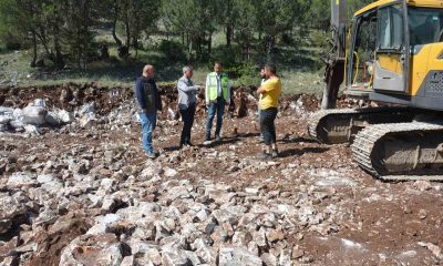 Bölge Müdürü Erdal Dingil, Domaniç ve Altıntaş’ta incelemelerde bulundu
