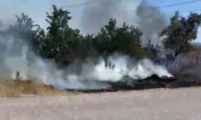 Tavşanlı’da ot yangını korkuttu