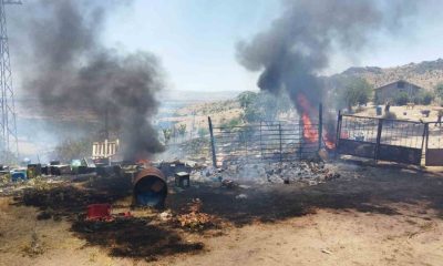 Afyonkarahisar’da ormanlık alanda çıkan yangın söndürüldü