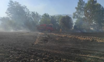 Osmaneli’de 20 dönümlük buğday tarlası yangında kül oldu