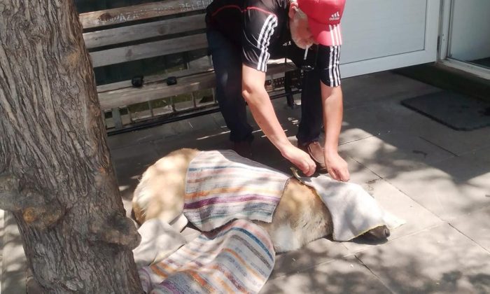 Taksi durağı çalışanının takdir edilecek merhameti