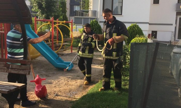 Çocuk oyun alanında yılan paniği