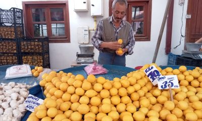 Pazarda bile kilosu 70 liraya dayanan limon