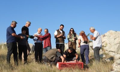 Sivrihisar’da 600 adet kınalı kekliğin doğaya salımı gerçekleştirildi