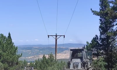 Ormanlık alanlardaki enerji nakil hatlarının altında temizlik ve budama yapılıyor