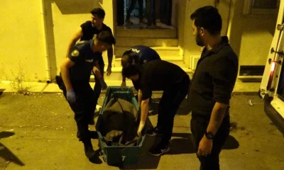 Kütahya’da çifte cinayet