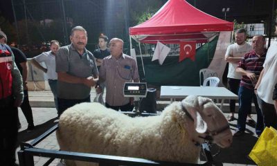 Hayvan Ağırlık Tahmin Yarışmasında ödüller sahiplerini buldu