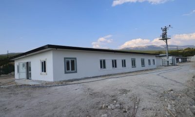 Vali Musa Işın hayvan barınağında incelemelerde bulundu
