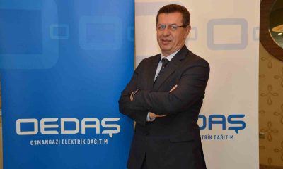 Ormanlık alanlardaki enerji nakil hatlarının altında temizlik ve budama yapılıyor