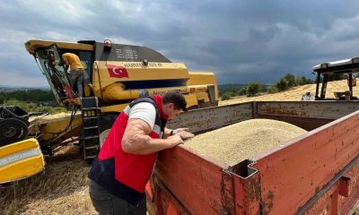 Gediz ve Emet ilçelerinde hasat dönemi denetimleri