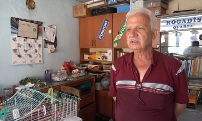 Ebabil kuşunu telef olmaktan son anda kurtardı