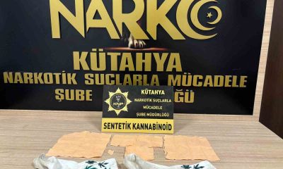 Kütahya’da 3 bin 844 içimlik kağıda emdirilmiş bonzai ele geçirildi, 2 kişi tutuklandı